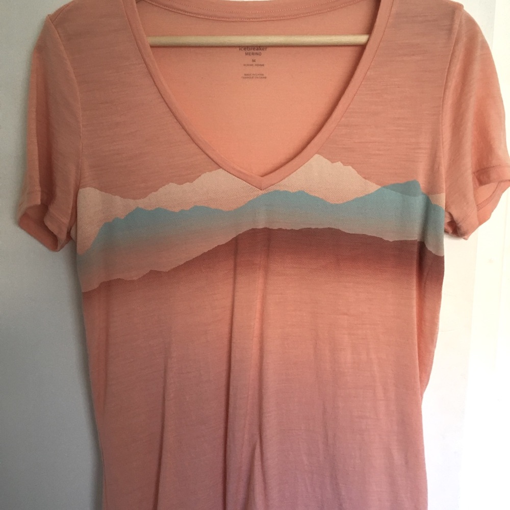 Icebreaker wool graphic  t-shirt